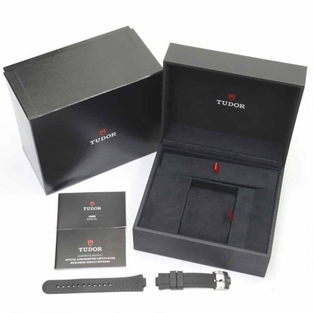 Tudor Pelagos — vue 2
