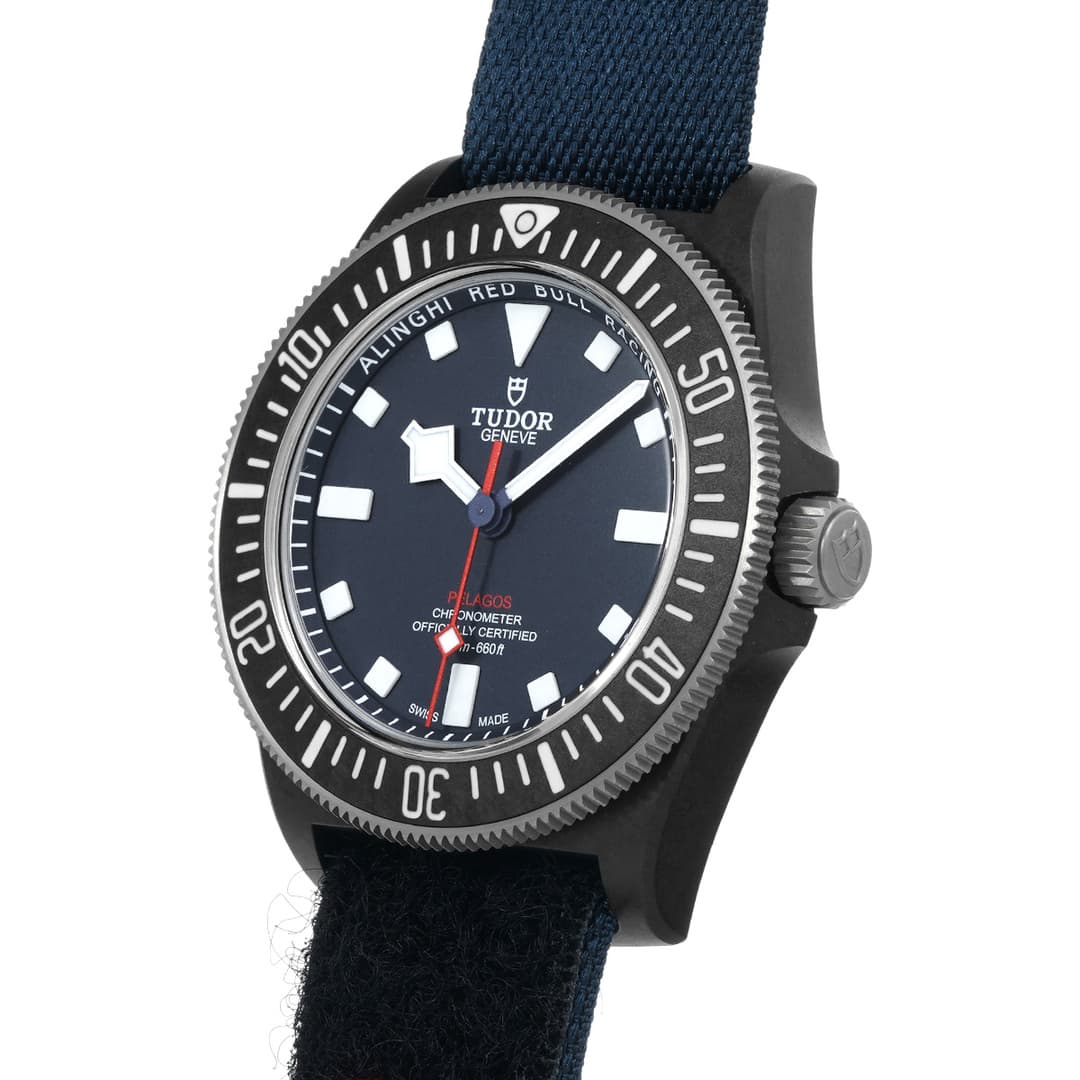 Tudor Pelagos FXD — vue 2