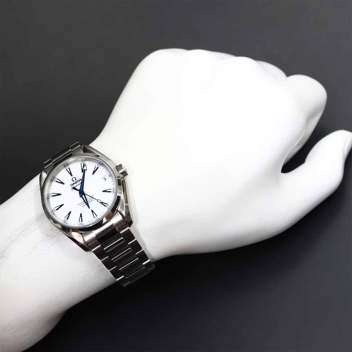 Omega Seamaster Aqua Terra GoodPlanet — vue 4