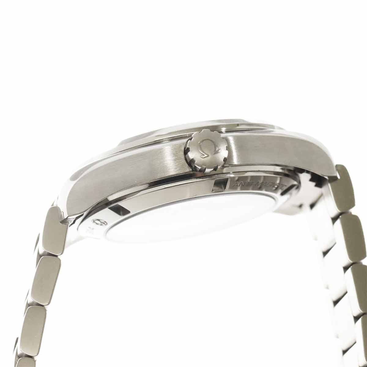 Omega Seamaster Aqua Terra GoodPlanet — vue 6