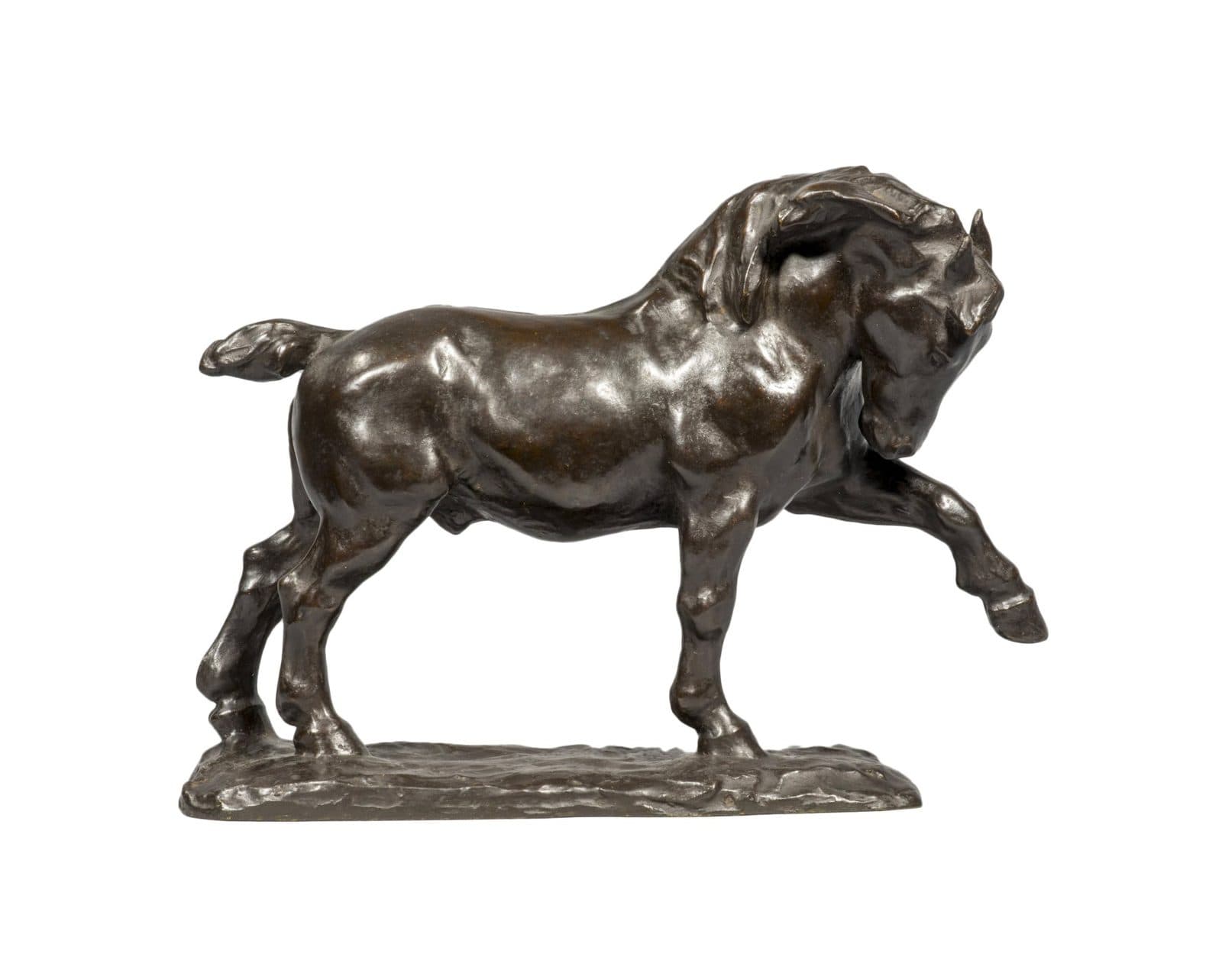 Cheval de trait