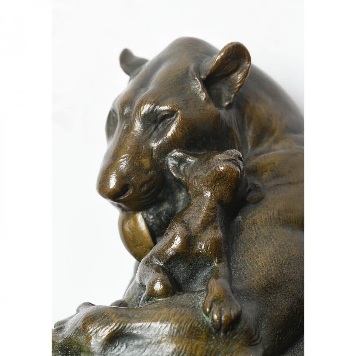 Lionne et ses lionceaux — vue 2