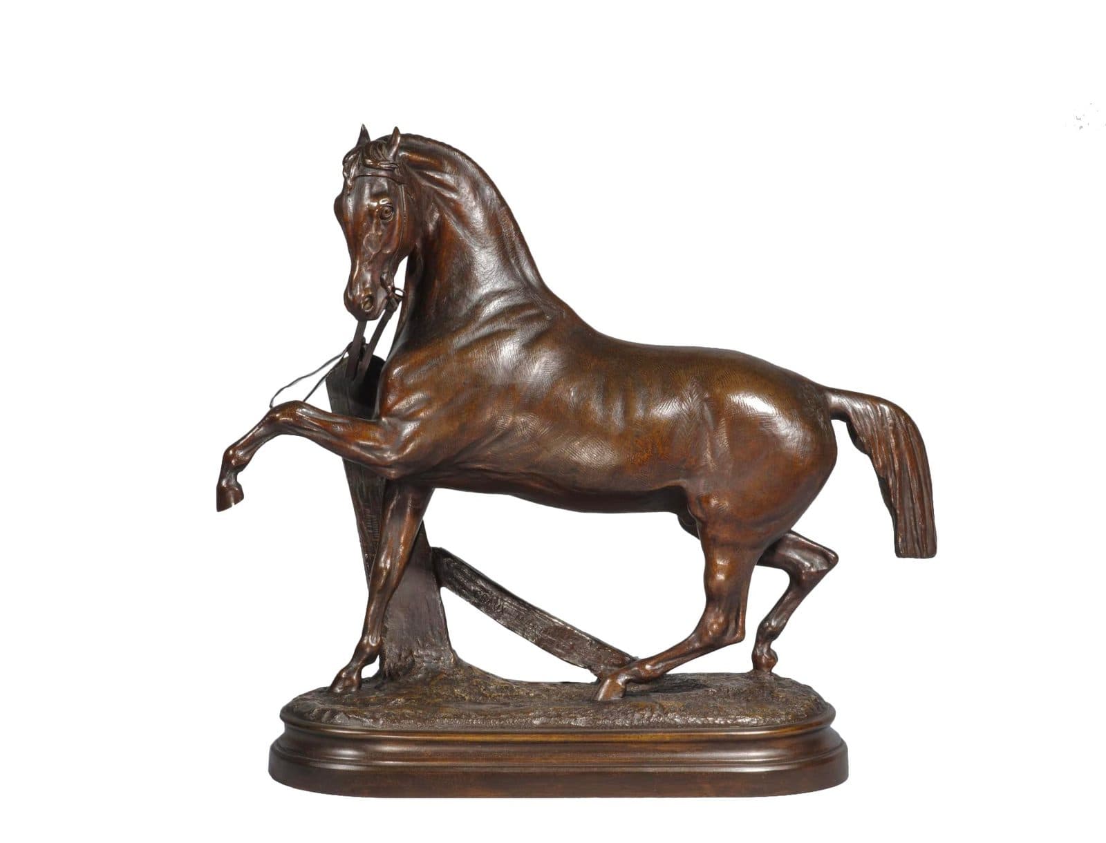 Cheval à la barrière