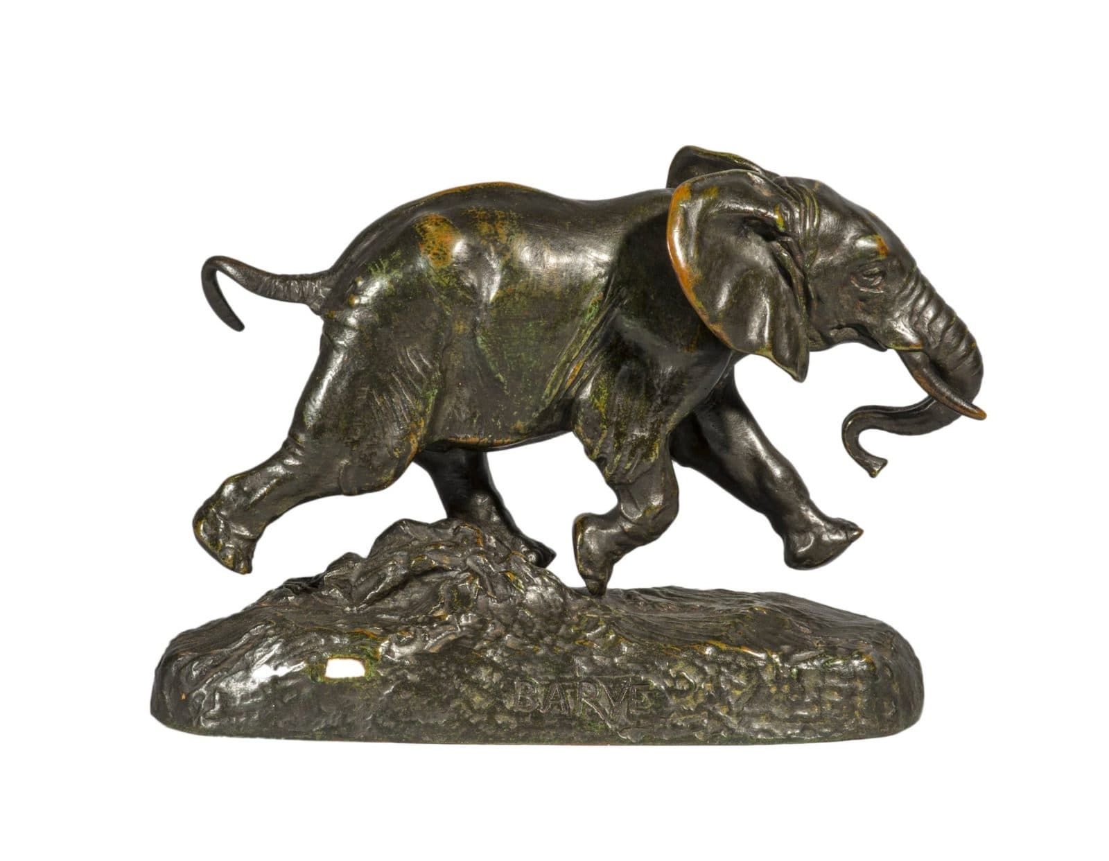 Éléphant du Sénégal